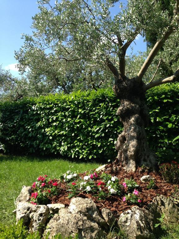 Da Debbie San Giovanni In Marignano Szoba fotó